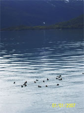 Alaska